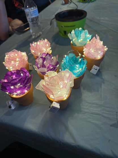 03/04/26 Seaglass Succulent Trio Workshop at the JB Duke hotel in Durham