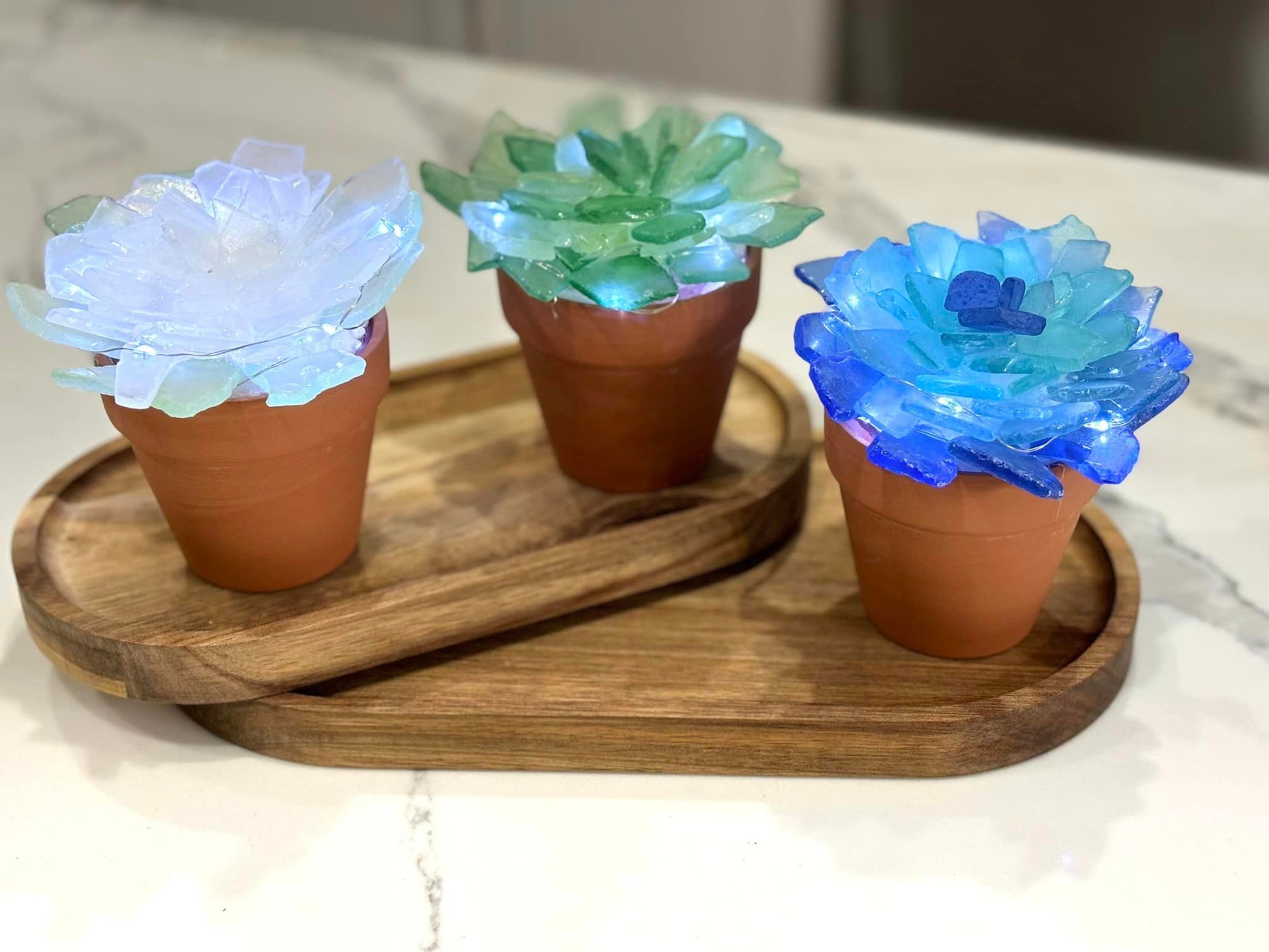succulent craft kit Sea Glass Succulents Kit – Hammer and Stain Carolina
