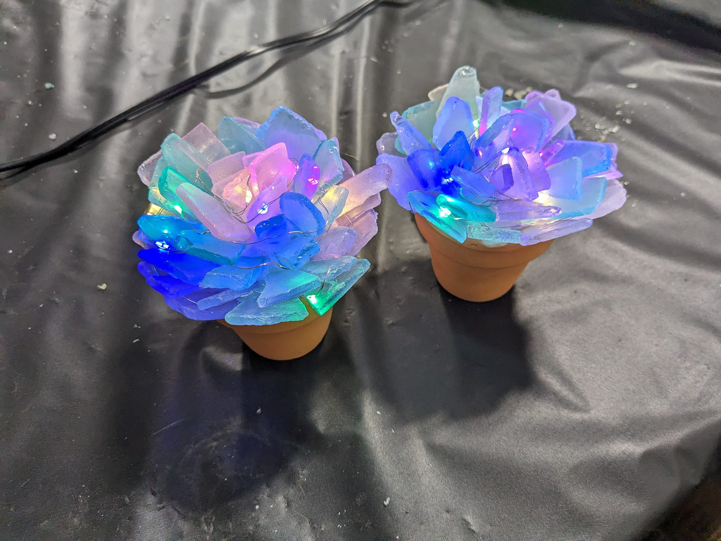 03/04/26 Seaglass Succulent Trio Workshop at the JB Duke hotel in Durham